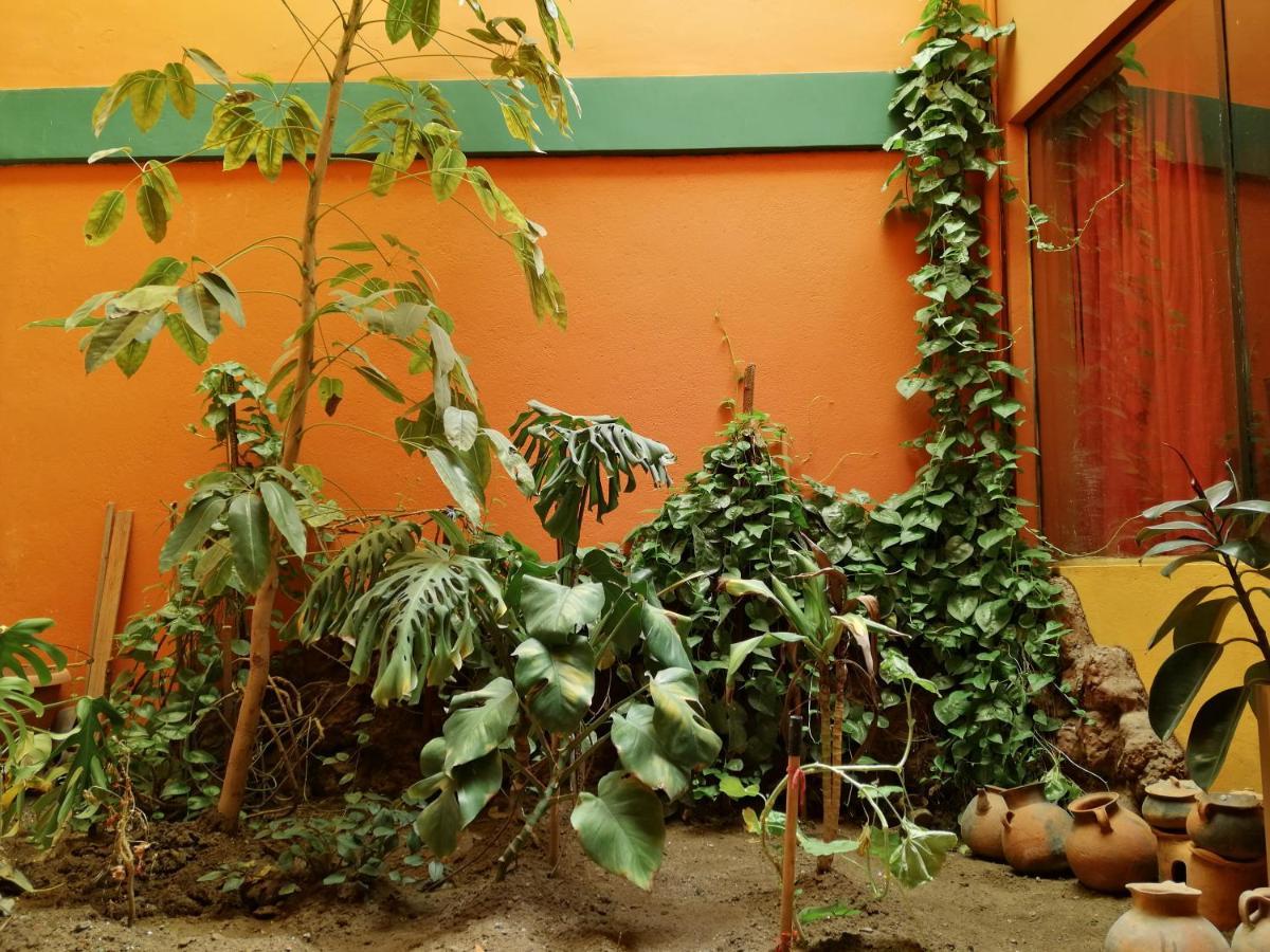 Olas Del Titicaca Backpackers Hostel Копакабана Екстер'єр фото